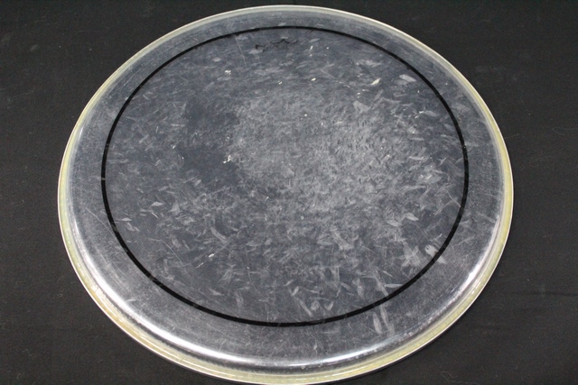 Peau de Tom 13 pouce - Image 1