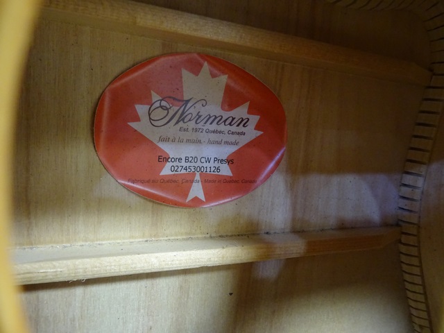 Guitare Electro Acoustique  - Image 2