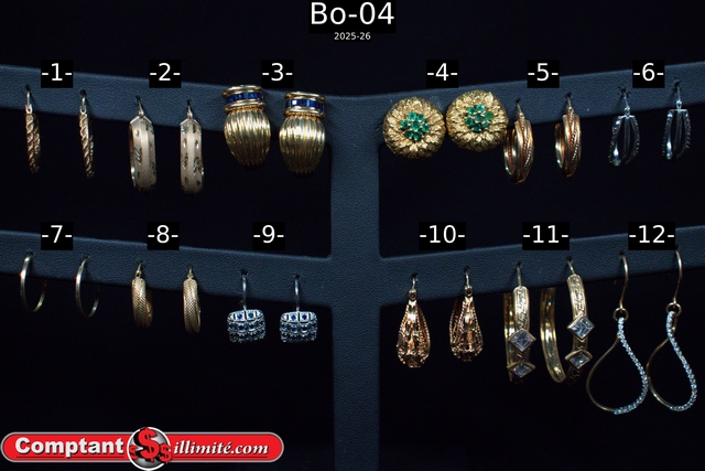 Vaste choix boucle d oreille Bo-04