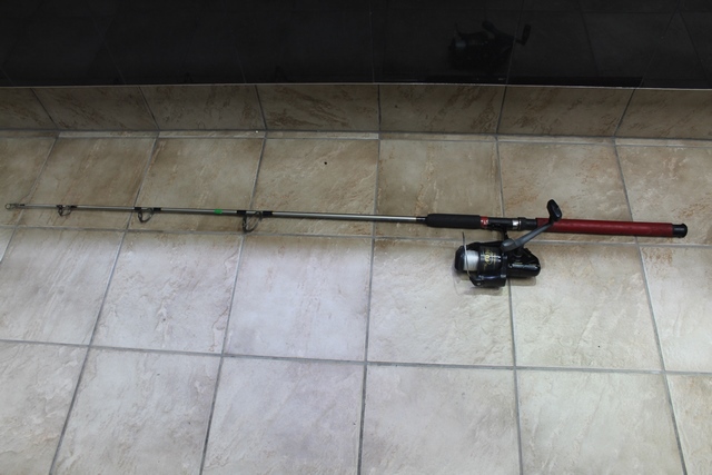 Canne a Peche + Moulinet - Image 1