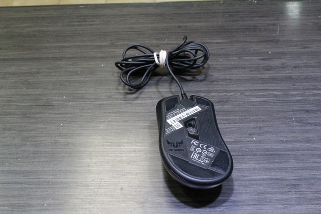 sourie fillaire  - Image 2