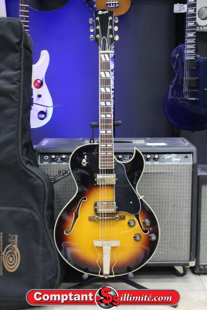 Guitare Hallowbody Vintage