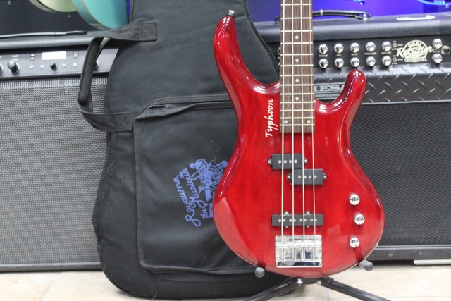 Basse Electrique - Image 2