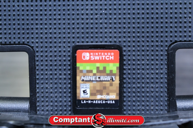 Minecraft (sans pochette)