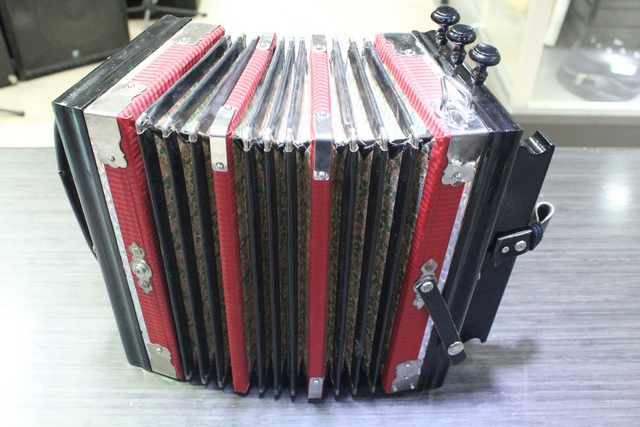 Accordeon - Image 4