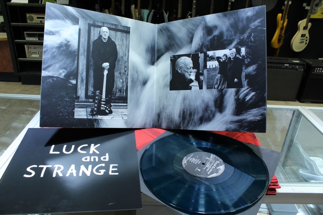 David Gilmour Luck and Strange - Image 2