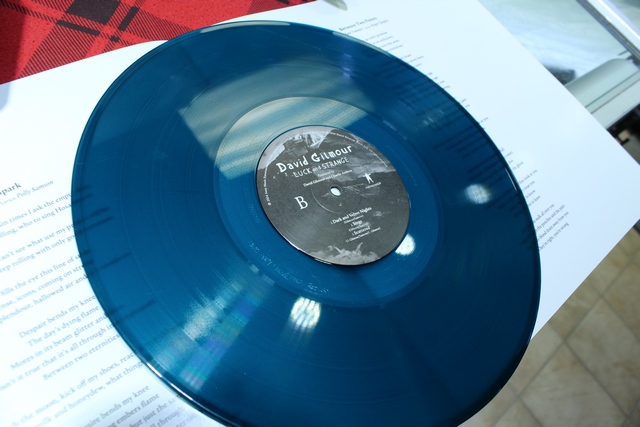 David Gilmour Luck and Strange - Image 4