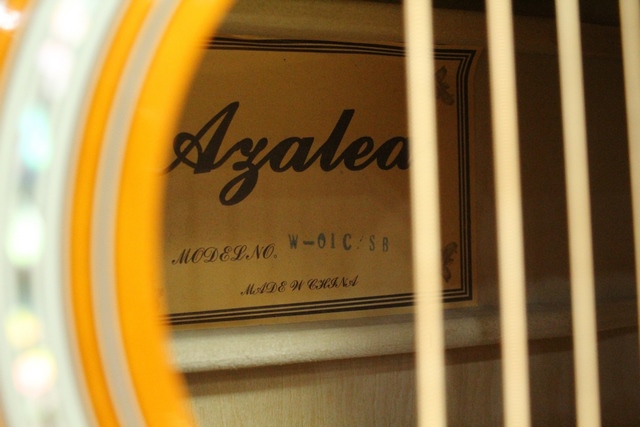 Guitare Acoustique - Image 2