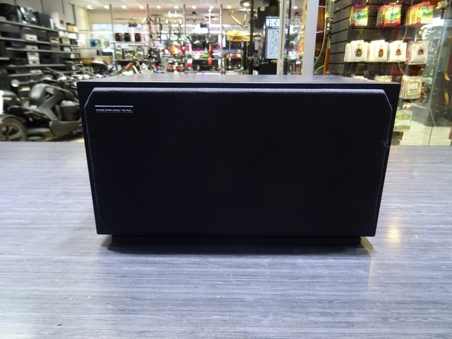 (100 Watts) Haut Parleur  Amplifie PROTON 301 - Image 2