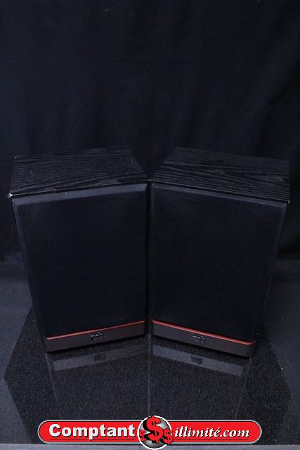 (60 watts) Haut Parleur PSB 20MKII