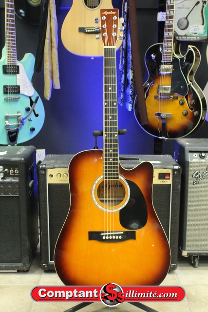 Guitare Acoustique Azalea w-01c