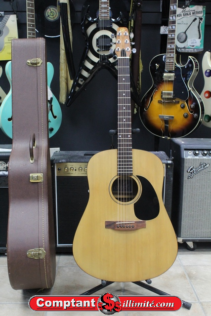 Guitare Acoustique Seagull SM