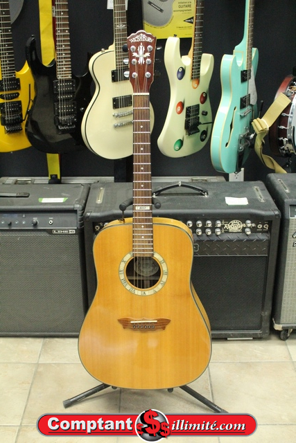 Guitare Acoustique Washburn D2003S