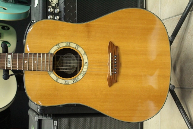 Guitare Acoustique Washburn D2003S - Image 3
