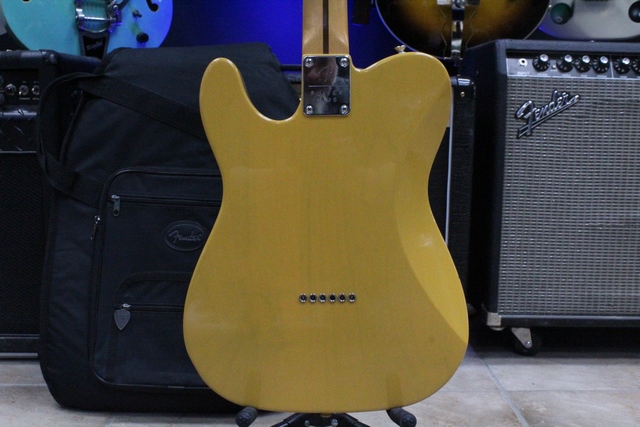 Guitare Electrique Fender Telecaster made in Mexico Nashville Player Plus 75 - Image 4