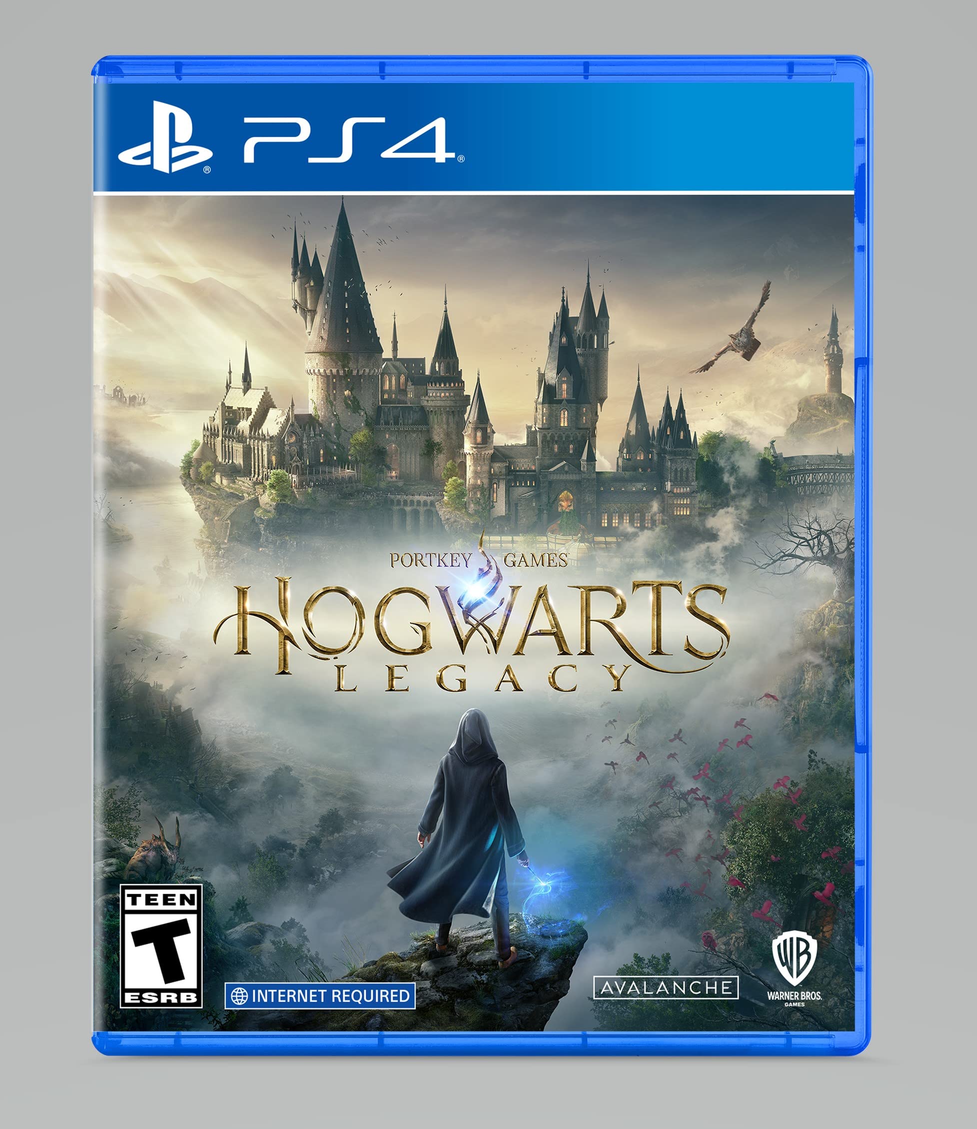 Hogwarts Legacy Sony PS4