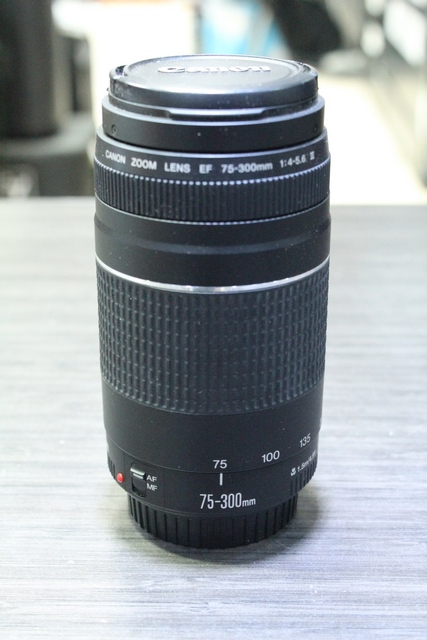 Lentille 75-300mm canon
