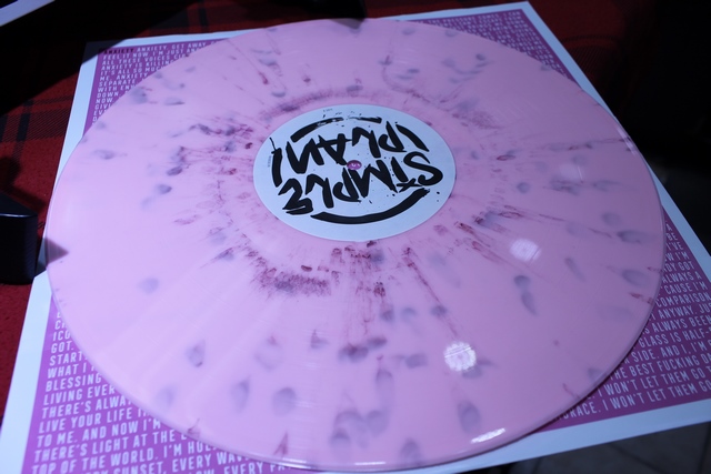 Simple Plan Harder than it looks vinyle atlantic - Image 4