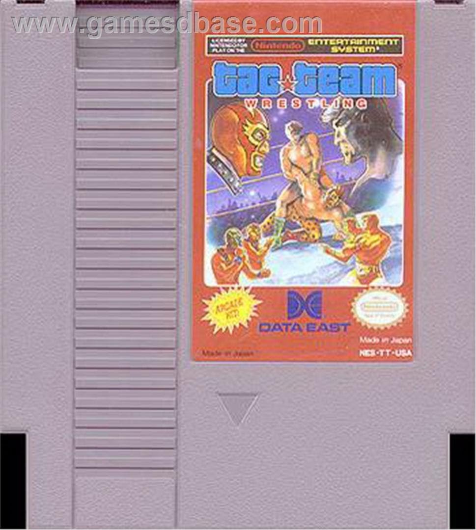 Tag Team Wrestling nintendo NES
