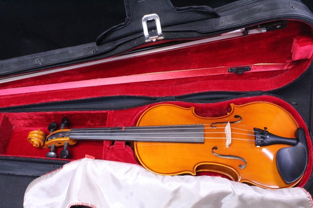 Violon 4/4 Samuel Eastman VL80 - Image 2