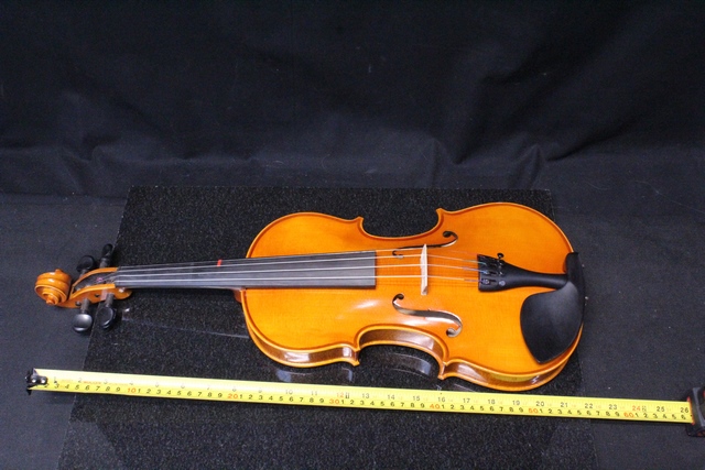 Violon 4/4 Samuel Eastman VL80 - Image 4
